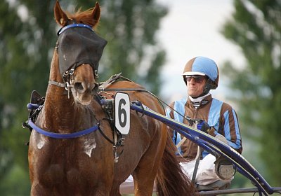 scs 170530 0105 Tilleul d Anjou