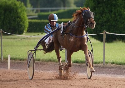 scs 170530 0112 Tilleul d Anjou