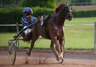 scs 170530 0113 Tilleul d Anjou