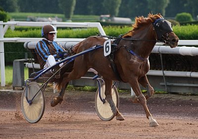 scs 170530 0116 Tilleul d Anjou