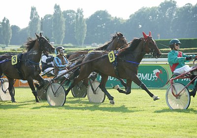 mb DSC02681 Semola GK