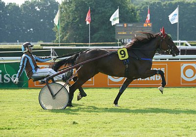 mb DSC02693 Semola GK