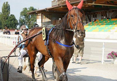 mb DSC02704 Semola GK