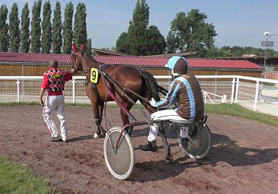 mmo Semola 23juni17 Avenches S1960004