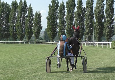 mmo Semola 23juni17 Avenches S1960006