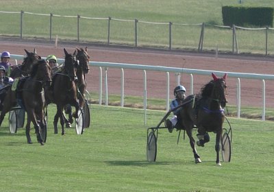 mmo Semola 23juni17 Avenches S1960011