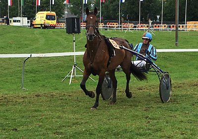 a Top Winner Saignelegier IMG 0038 (Andere)