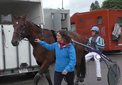 a Top Winner Saignelegier S2080016 (Andere)