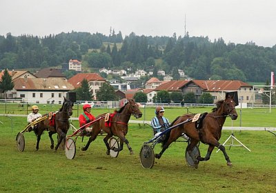 nv 03 04 top winner amour dete batingo (Andere)