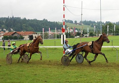 nv 03 08 top winner ulysse huchetiere (Andere)