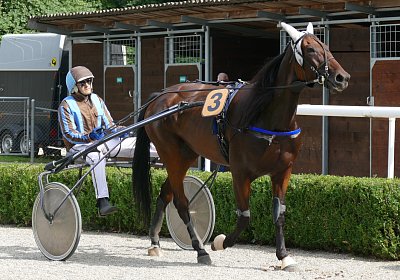 MB 170827 053 Semola GK