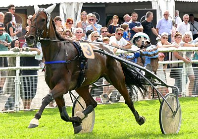 MB 170827 059 Semola GK