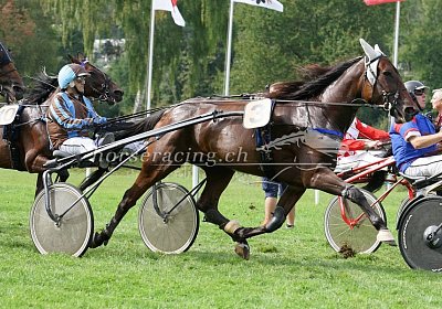 scs 170827 070 Semola GK