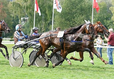 scs 170827 075 Semola GK