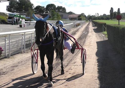 S2120001 Canone