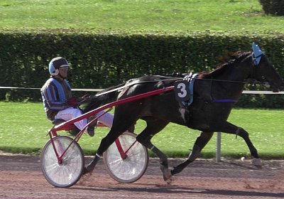 S2120005 Canone