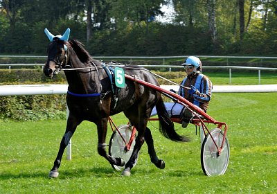 1 MB Dielsdorf 170924 033 Canone (Medium)