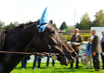 2 nv 04 02 canone du bocage (Medium)