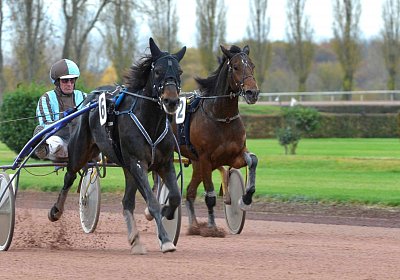 MB Avenches 171111 024 Global ect