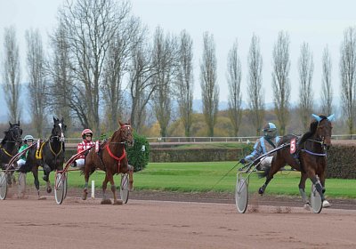 MB Avenches 171111 081 Semola ect