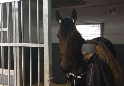 Fiddlesticks Jaegersro 2dez2017 IMG 3808 (22)