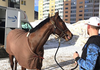 2018 02 16 Jungle Trip StMoritz IMG 6805