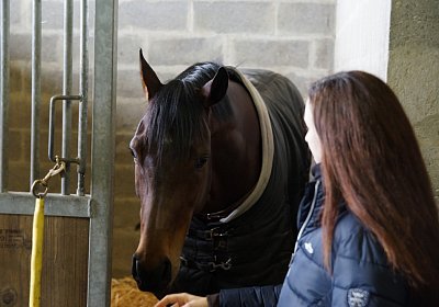 2018 03 22 Jungle Fontainebleau DSC07182