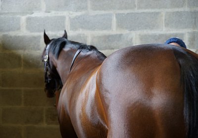 2018 03 22 Jungle Fontainebleau DSC07214