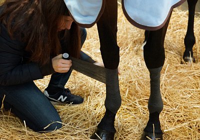 2018 03 22 Jungle Fontainebleau DSC07236