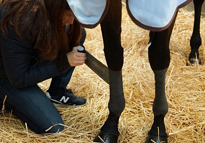 2018 03 22 Jungle Fontainebleau DSC07237