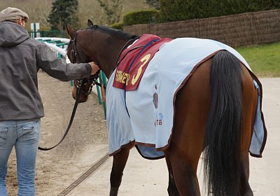 2018 03 22 Jungle Fontainebleau DSC07253