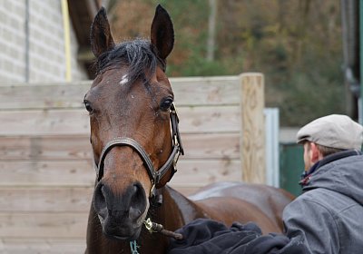 2018 03 22 Jungle Fontainebleau DSC07302