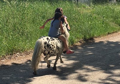IMG 1069