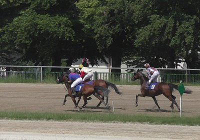 R Top Winner S3080058
