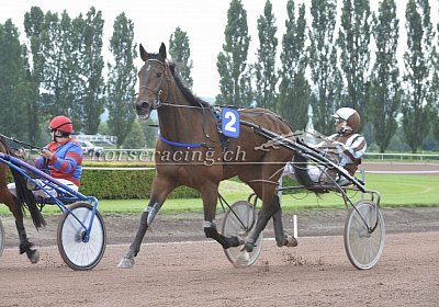 MB Avenches-180706 038 Cheval