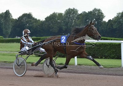 MB Avenches-180706 043 Cheval