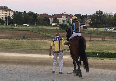 L Vor Top IMG 3209IMG 3236