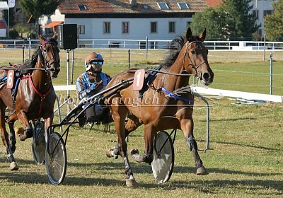 nv 01 04 cheval ung