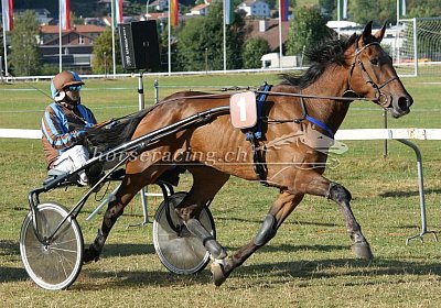 nv 01 07 cheval ung