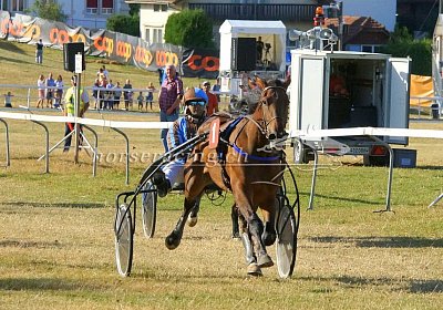 nv 01 09 cheval ung