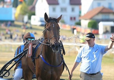 nv 01 13 cheval ung