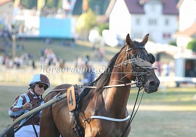 nv 03 02 viacus frazeen