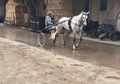 Avenches 7april2019 Vento IMG 3956
