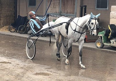 Avenches 7april2019 Vento IMG 3957