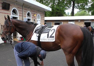 Jungleboogie Longchamp 2019 05 04 I S3550044