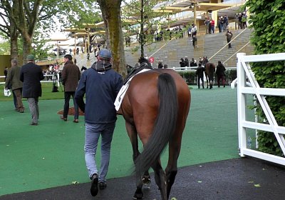 Jungleboogie Longchamp 2019 05 04 K S3550047