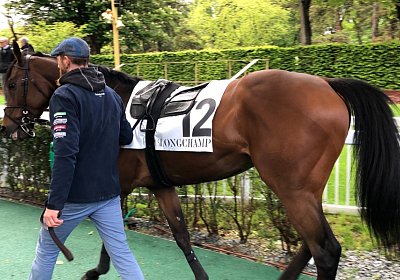 Jungleboogie Longchamp 2019 05 04 M IMG 5221
