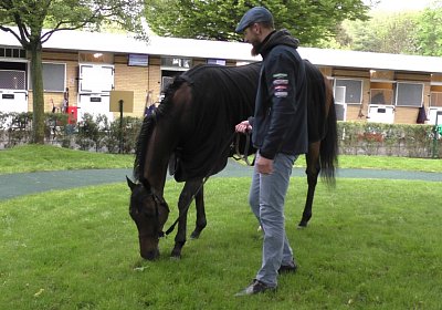 Jungleboogie Longchamp 2019 05 04 N S3550050
