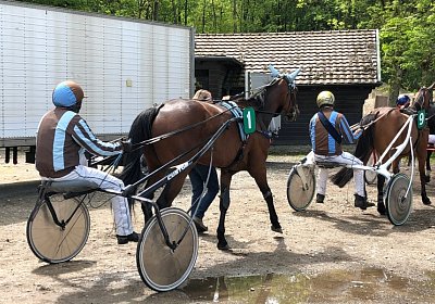 Semola Rebus IMG 5982