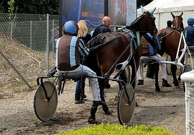 Semola Rebus IMG 5983